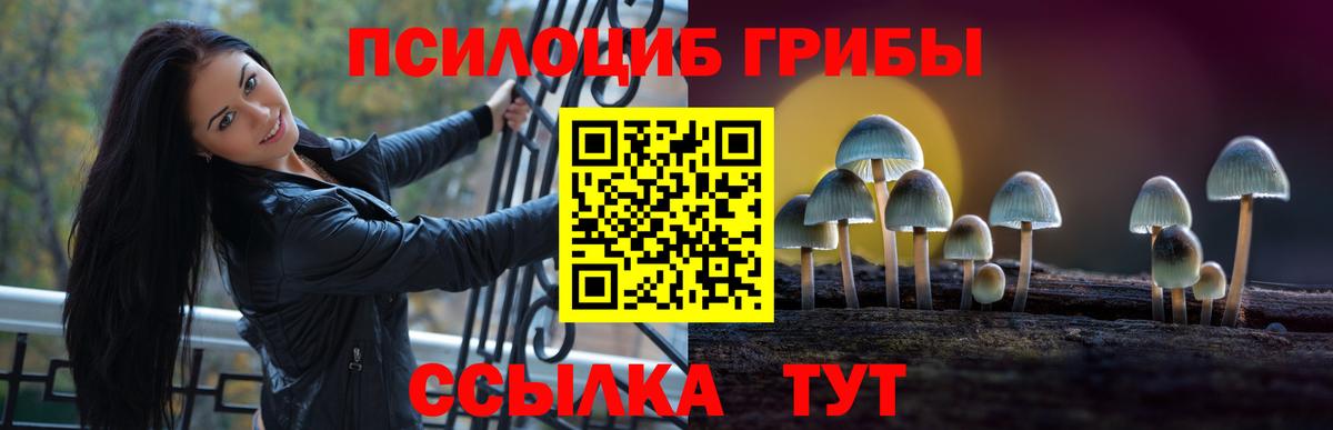 Гагарин  Галлюциногенные грибы мицелий  Вход с VPN  Псилоцибиновые грибы MAGIC MUSHROOMS 